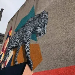 Prowling Aberdeen Leopard part of Nu Art Aberdeen